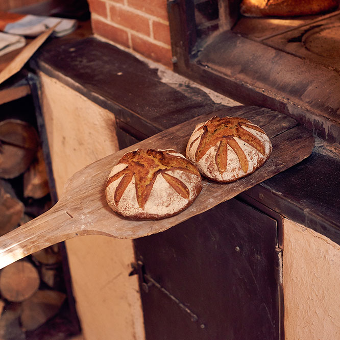 Photo de pains aux drêches de la brewlangerie