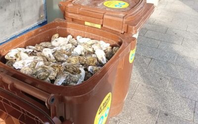 Recyclez vos coquilles d’huîtres !