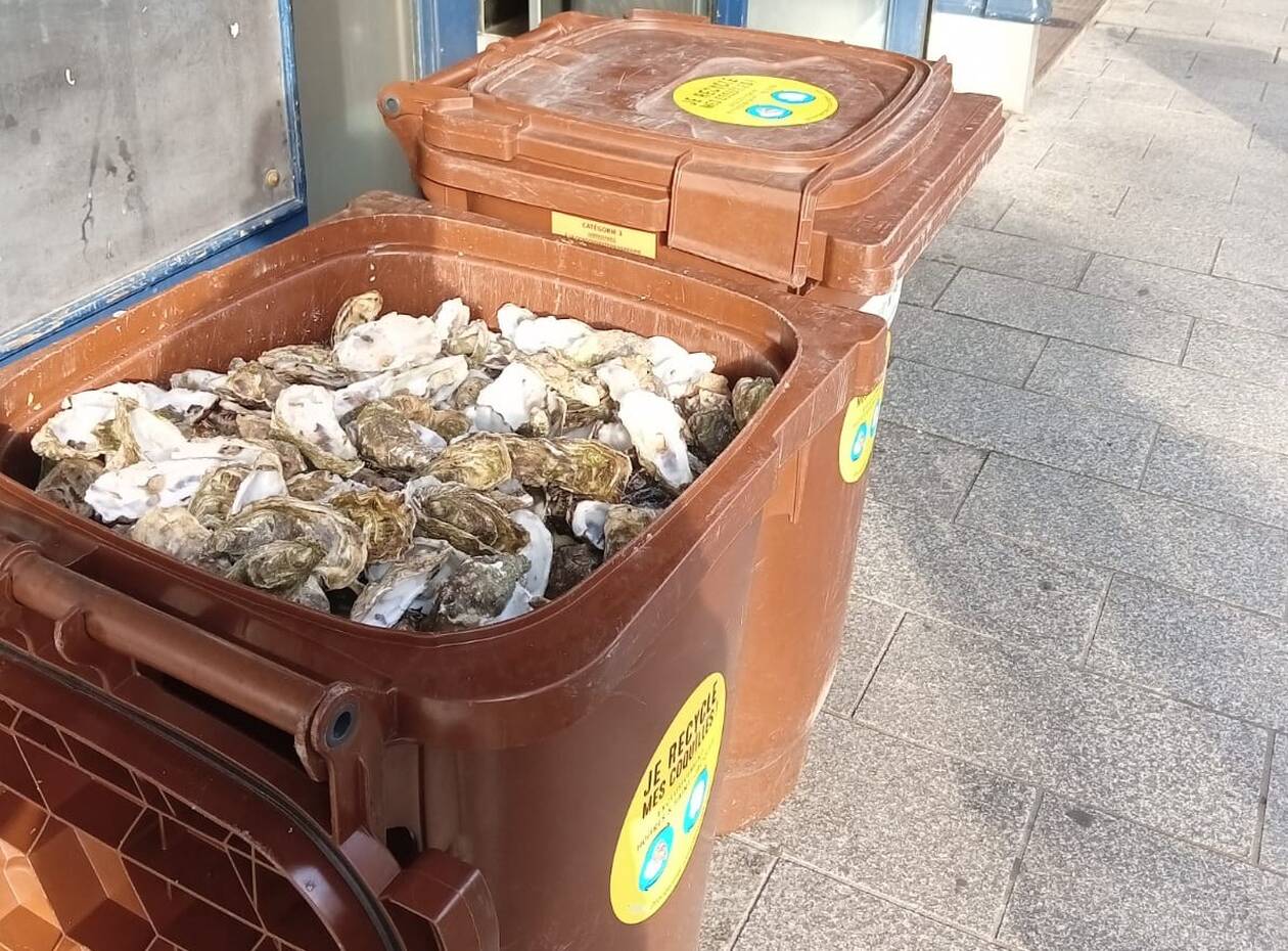 Recyclage des coquilles d'huitres à Toulouse par la strat-up Providentiel Coquillages