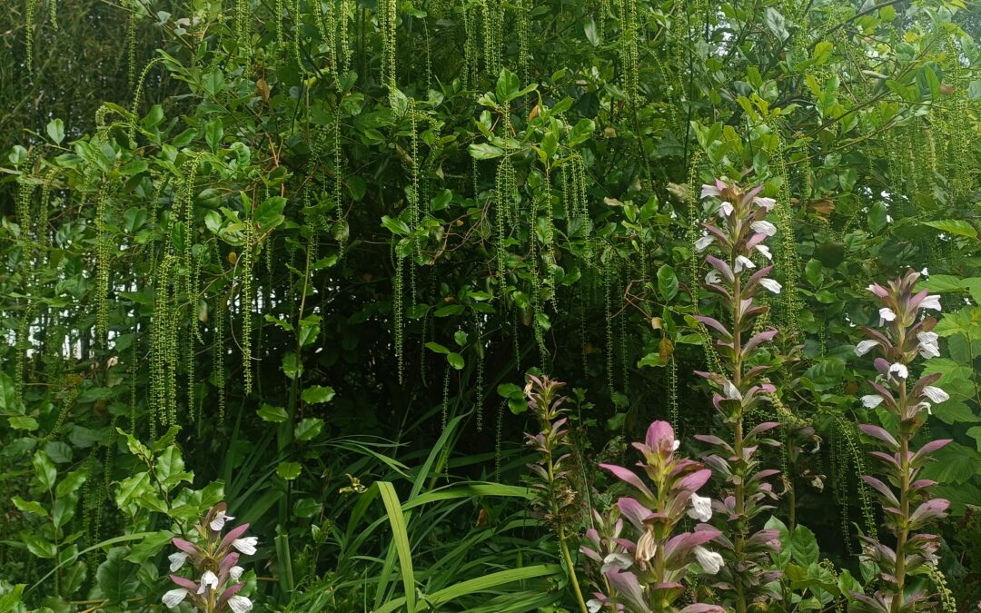 Humus & associés visite les Jardins remarquables
